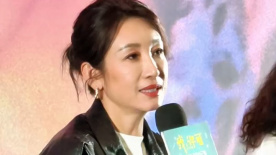 国产亚洲精品成人久久网站